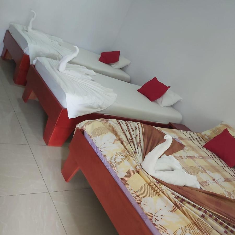 Cabanas Daneysha Tortuguero Extérieur photo