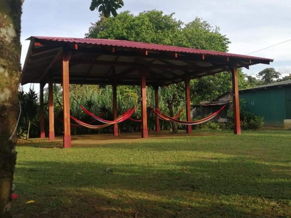 Cabanas Daneysha Tortuguero Extérieur photo
