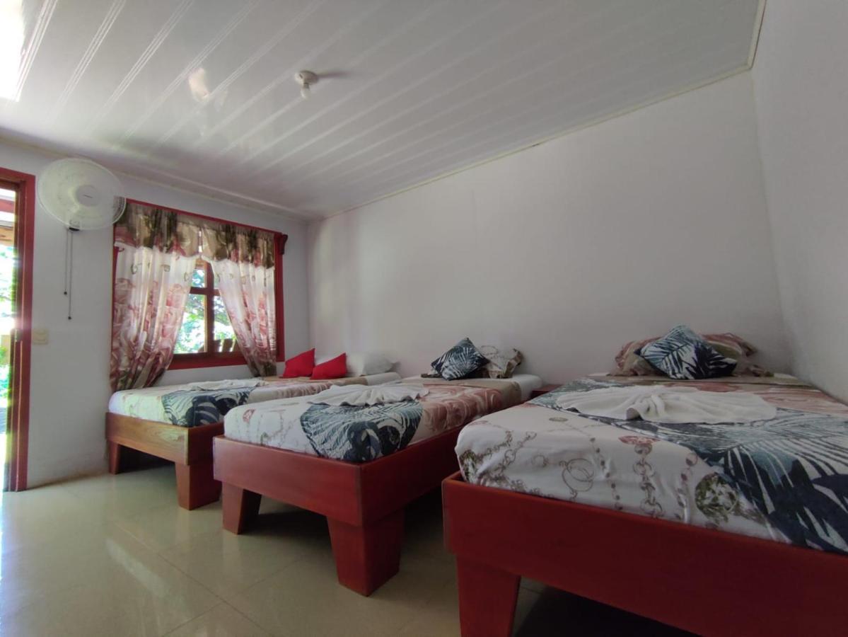 Cabanas Daneysha Tortuguero Extérieur photo