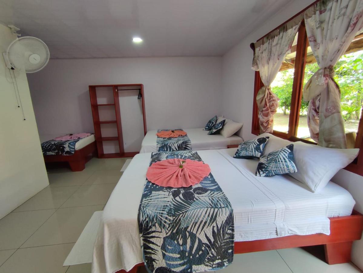 Cabanas Daneysha Tortuguero Extérieur photo