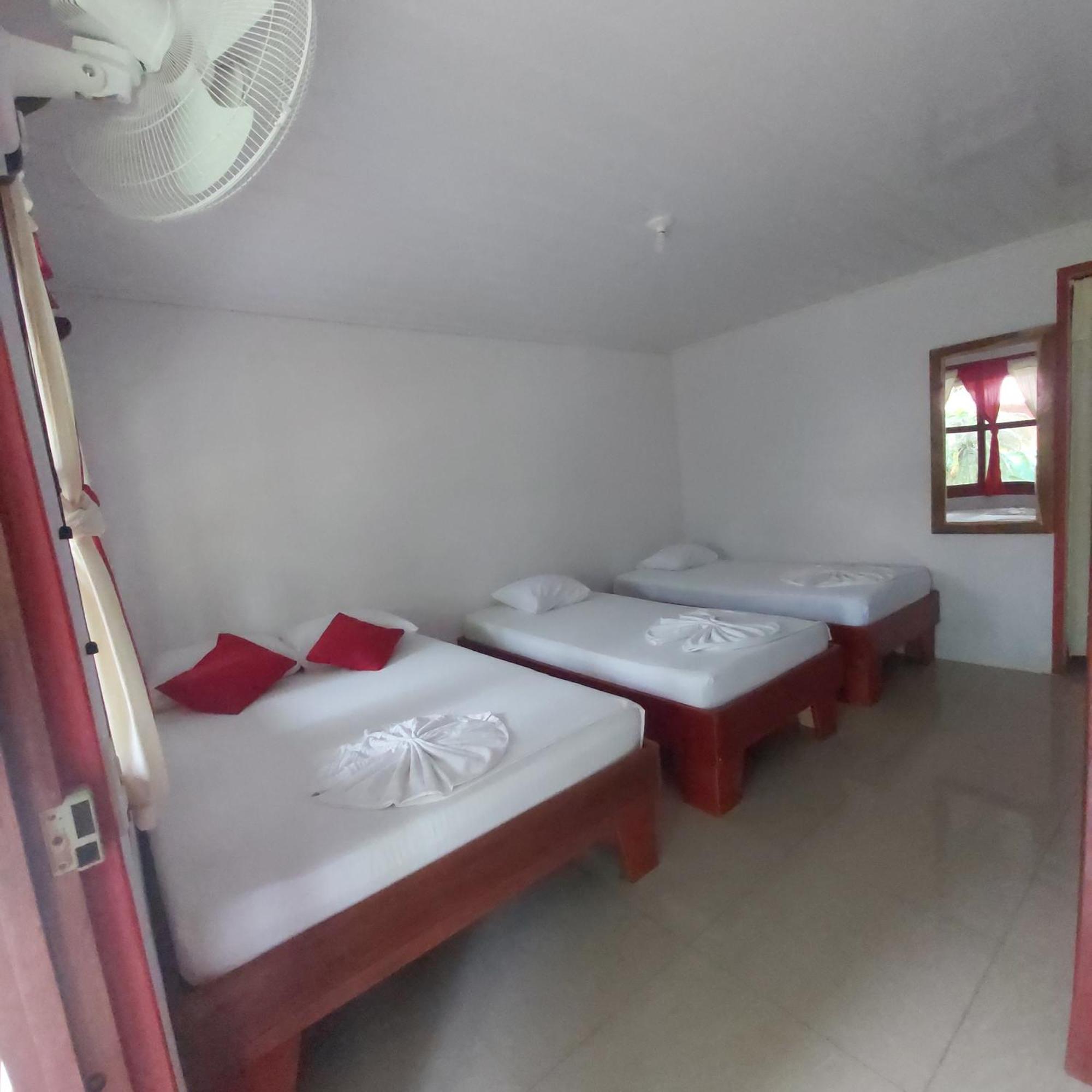 Cabanas Daneysha Tortuguero Chambre photo